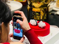 -BLACKSWAN黑天鹅(新希望店)