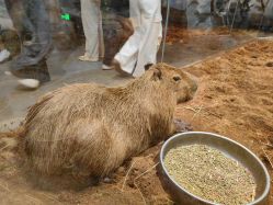 -Zoolung Zoolung动物主题公园(海信广场店)