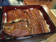 柴藤流鳗鱼饭-本家 柴藤