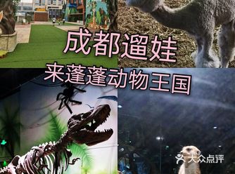成都遛娃，可以学习动物知识的儿童乐园