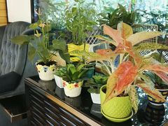 -家琳甜品(江南东店)