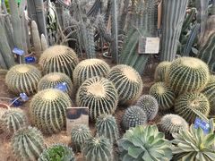 景点-国家植物园(南园)