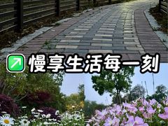 -阳澄湖半岛旅游度假区
