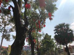 -吴哥国家博物馆