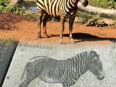 -海南热带野生动植物园
