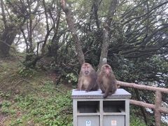 -峨眉山风景名胜区