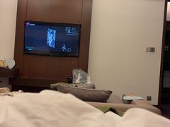 -广州从化都喜泰丽度假温泉酒店
