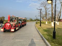 -芒洲湿地公园