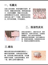 -Bollins波林丝•专研护发中心