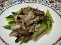 -新光酒家·河豚·海鲜·蟹料理(浦东店)