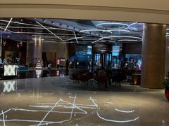 -南京禄口机场雅高铂尔曼大酒店