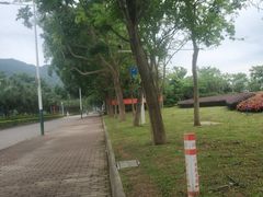 -艾米稻香小镇