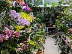 -三旗百汇商品城