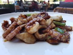 沙姜八爪鱼-徐记海鲜(南油永新汇店)