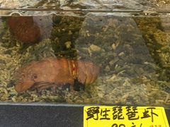 -顺德了能馆(虎门店)