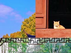 -上海方塔园