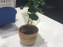 -PAUL LAFAYET 法式甜品(国金中心商场店)