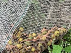 -东天目山风景区