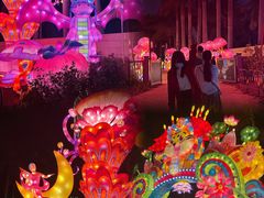 -欢乐海岸椰林沙滩-2025湾区超级灯会