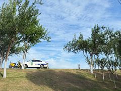 -合肥滨湖国家森林公园