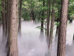 -东湖落雁景区