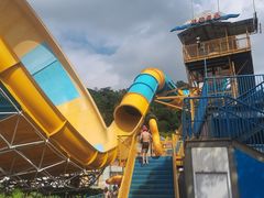 -重庆海昌加勒比海水世界