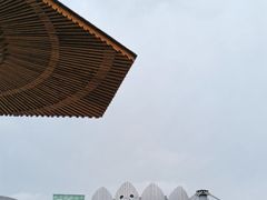 -沈阳森林动物园