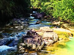 -广州白江湖森林公园