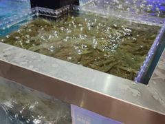 -盒马鲜生(龙德广场店)