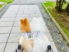 -乌石塘景区