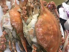 -喜来酌海鲜·饺子(和平一店)