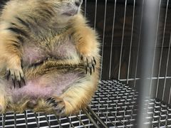 -乐宠宠物店(世纪金源店)