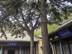 -雁门关景区