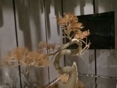 -桐爷小馆(广渠门店)