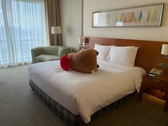 -上海浦东康桥绿地假日酒店