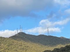 -北仑森林植物园