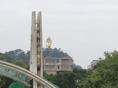 -南山植物园