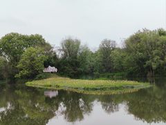 -西溪国家湿地公园