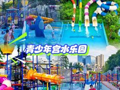 -武汉知音号