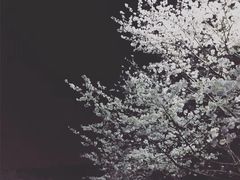 -梅园食堂