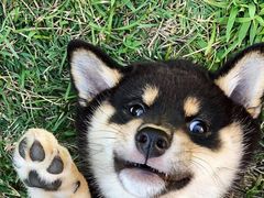 -miomi米欧米美瞳隐形眼镜(北京apm店)