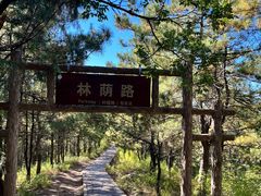 -磬锤峰森林公园