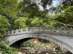 -广州市石门国家森林公园