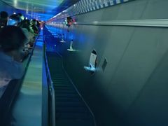 -白鹤梁水下博物馆