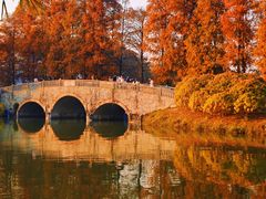 -华南国家植物园-售票处