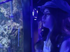 -大连圣亚海洋世界