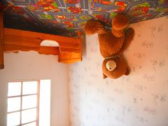 -金山农民画村-枫泾波兰倒置屋