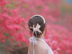 -木兰云雾山