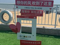 -日照海滨国家森林公园