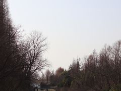 -上海怡沁园度假酒店
